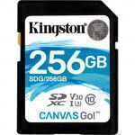 Kingston Technology Canvas Go! 256Go SDXC UHS-I Classe 10 mémoire flash